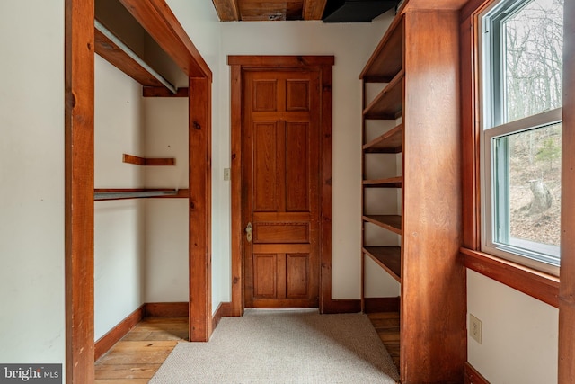 spacious closet featuring carpet floors