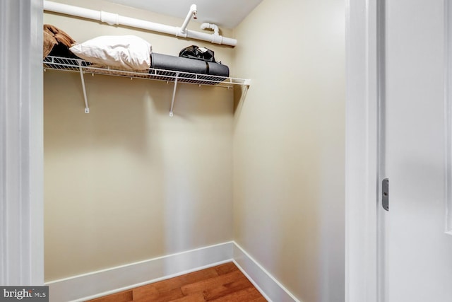 walk in closet featuring wood finished floors