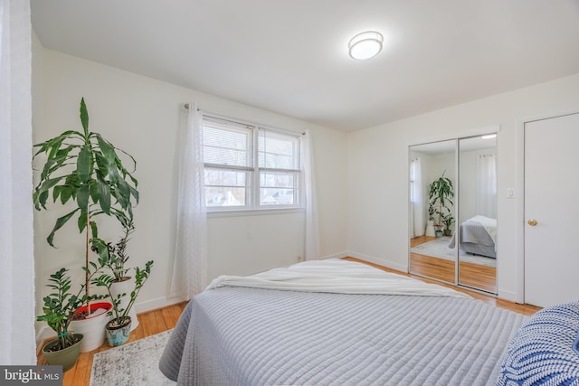 bedroom featuring light wood-style flooring, baseboards, and a closet