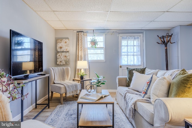 living area with a drop ceiling, baseboards, and wood finished floors