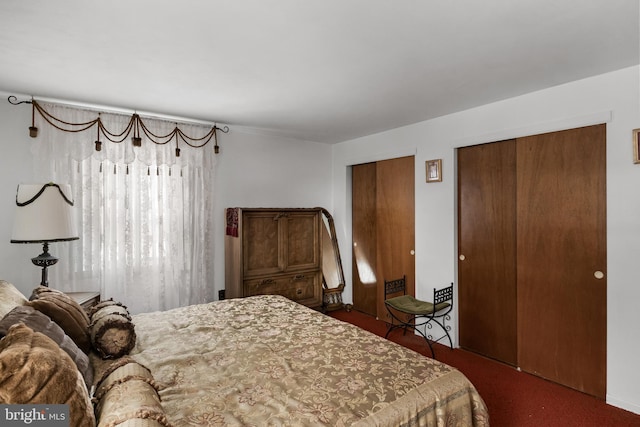 carpeted bedroom with two closets