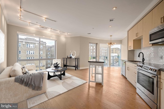 kitchen with crown molding, light wood finished floors, stainless steel appliances, decorative backsplash, and a sink