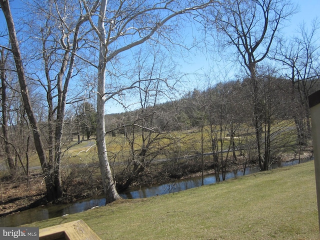 water view with a forest view