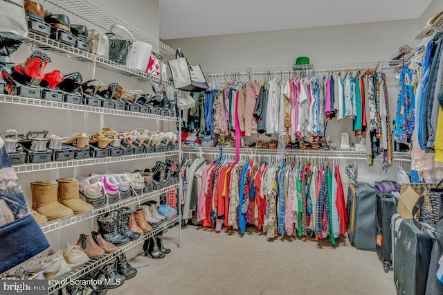 spacious closet with carpet floors