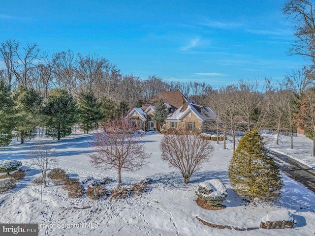 view of snowy yard