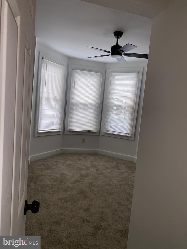 unfurnished room featuring a ceiling fan, carpet flooring, and baseboards