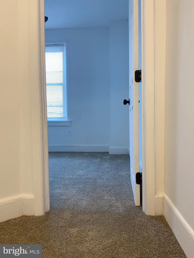 hallway with carpet flooring