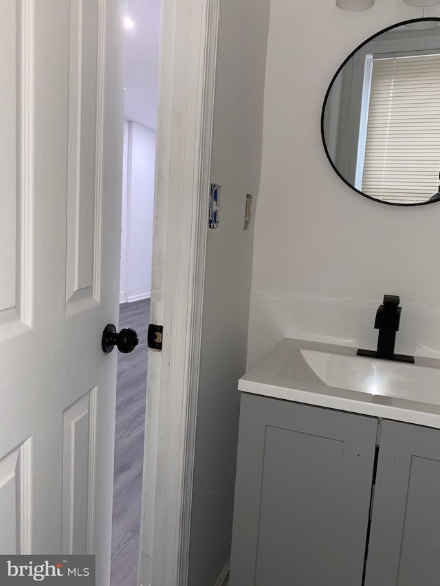 bathroom with wood finished floors and vanity