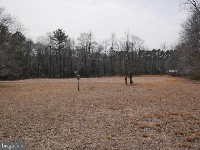 view of yard with a view of trees