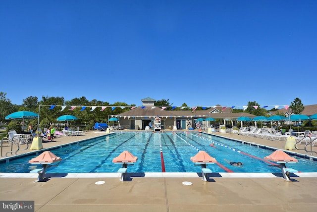 pool featuring a patio area and a diving board