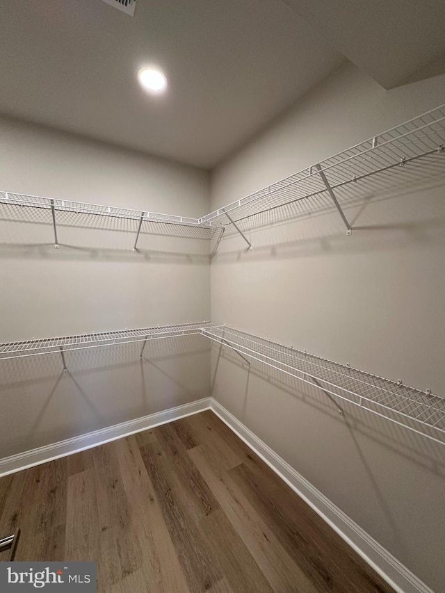 walk in closet featuring wood finished floors