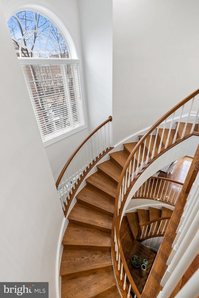 staircase featuring wood finished floors and baseboards