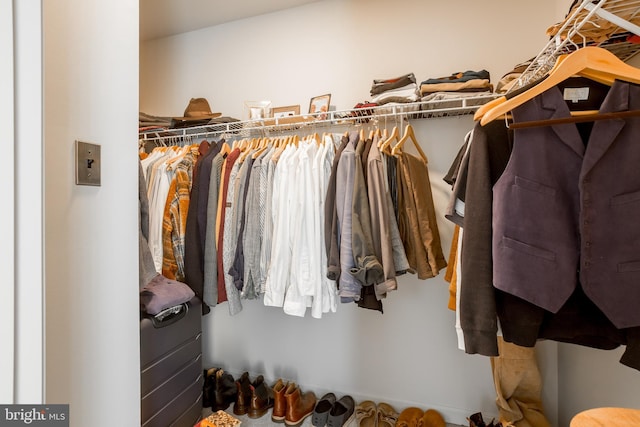 view of spacious closet