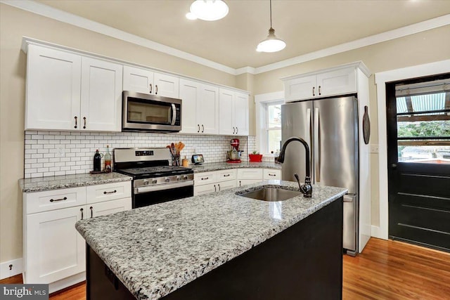 kitchen featuring crown molding, stainless steel appliances, and a sink