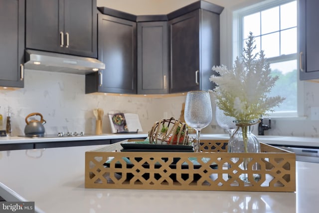 kitchen with dishwashing machine, tasteful backsplash, light countertops, and under cabinet range hood