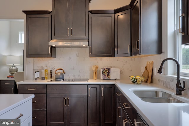 kitchen featuring light countertops, a sink, dark brown cabinets, under cabinet range hood, and black electric cooktop