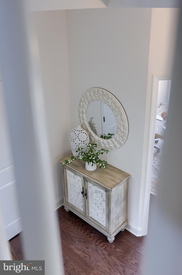 interior details with baseboards and wood finished floors