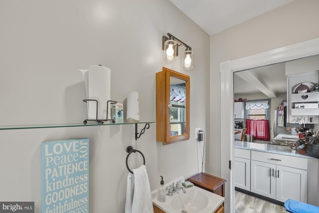 bathroom with a sink and wood finished floors