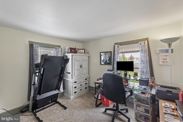 office space featuring carpet flooring and baseboards