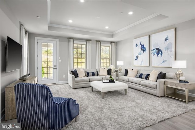 living room with ornamental molding, a tray ceiling, wood finished floors, and recessed lighting