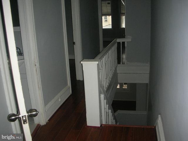 stairway with wood finished floors