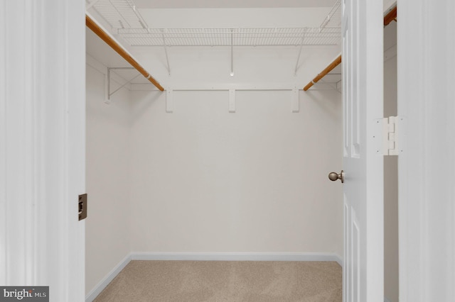 spacious closet with carpet