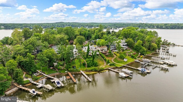 141 Boone Trl, Severna Park, MD 21146 - drone / aerial view of a large body of water and a tree filled landscape