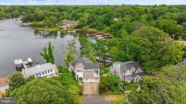 141 Boone Trl, Severna Park, MD 21146 - aerial view of residential area with a large body of water and a forest