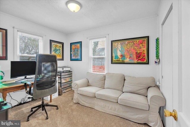 office space featuring a textured ceiling, carpet floors, a wealth of natural light, and crown molding