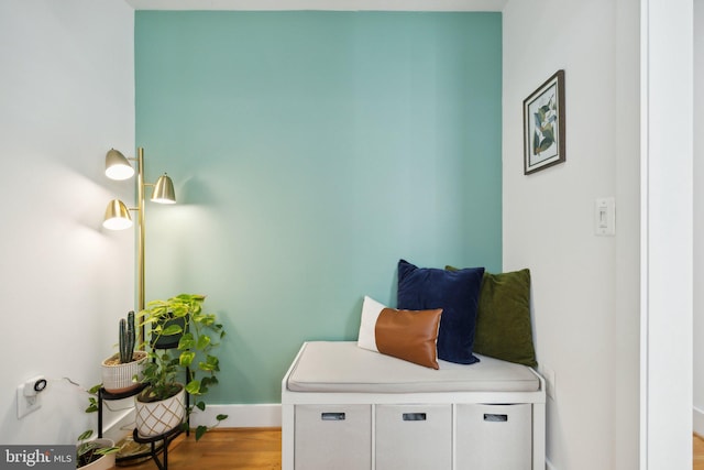 living area featuring baseboards and light wood-style floors