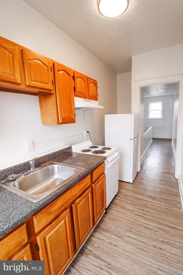 kitchen with light wood-style flooring, under cabinet range hood, white appliances, a sink, and dark countertops