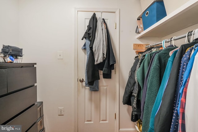 view of spacious closet