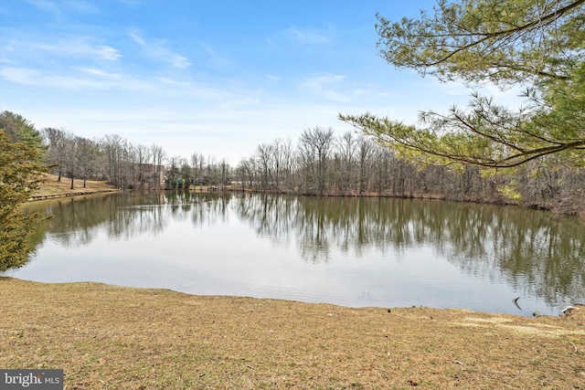 water view featuring a forest view