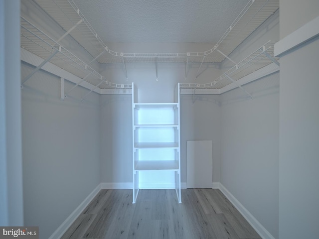 spacious closet with wood finished floors