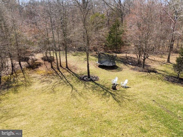 view of yard featuring a forest view and a trampoline