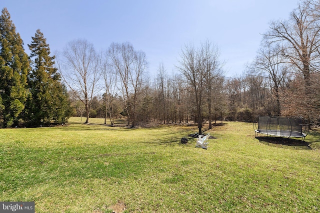 view of yard featuring a trampoline and a forest view