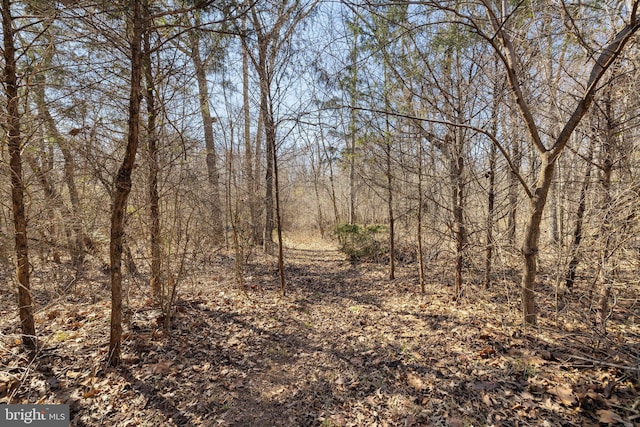 view of landscape