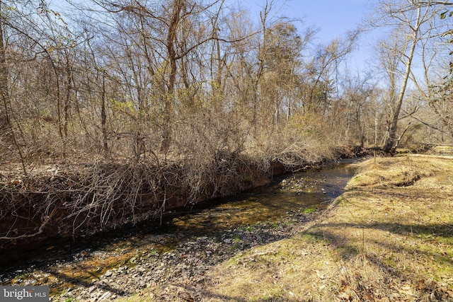 view of local wilderness with a wooded view