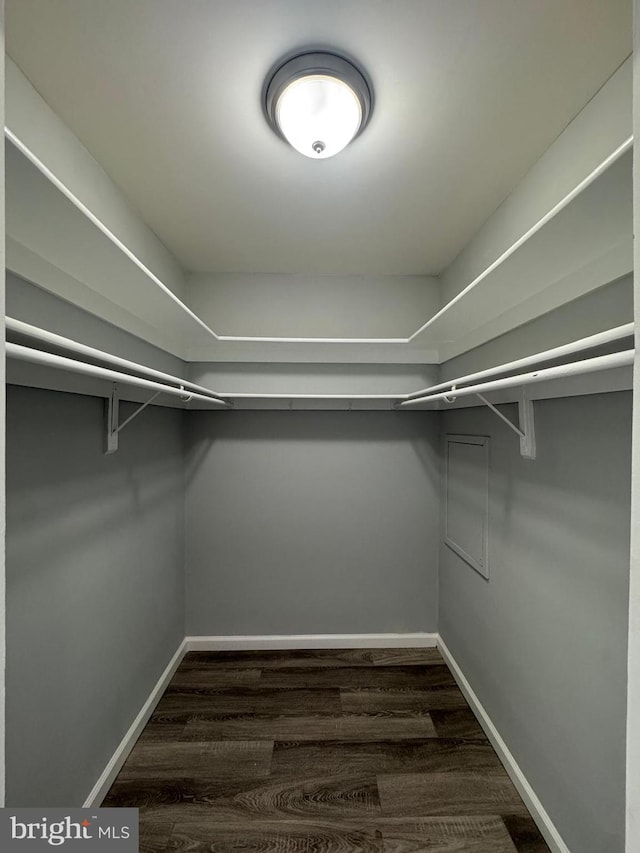 walk in closet with dark wood-type flooring