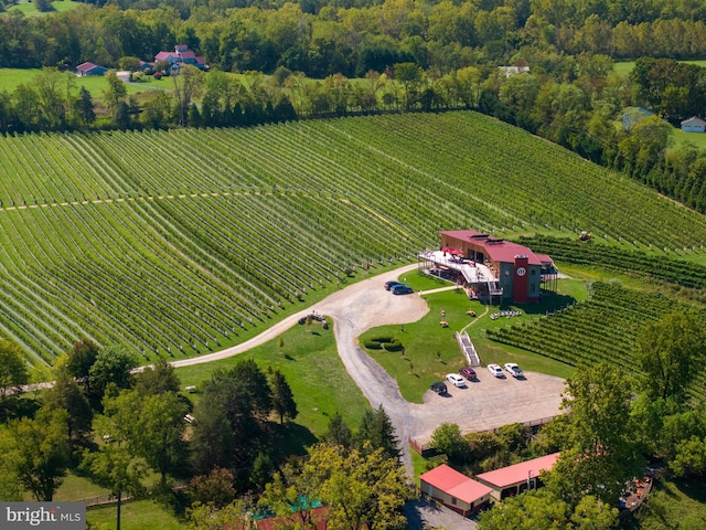 aerial view featuring a rural view