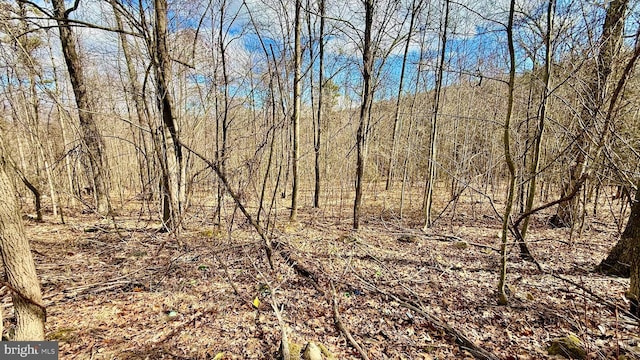 Listing photo 3 for LOT39 Sparrow Way, Augusta WV 26704