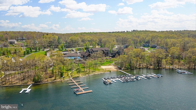 aerial view featuring a forest view and a water view