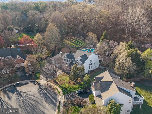 bird's eye view