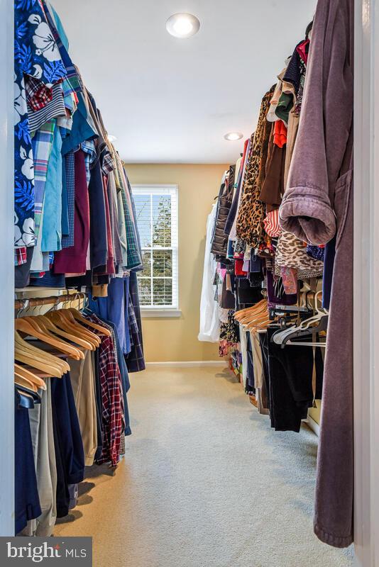 spacious closet featuring carpet floors