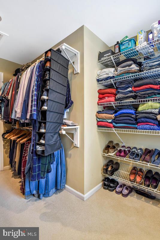 spacious closet featuring carpet