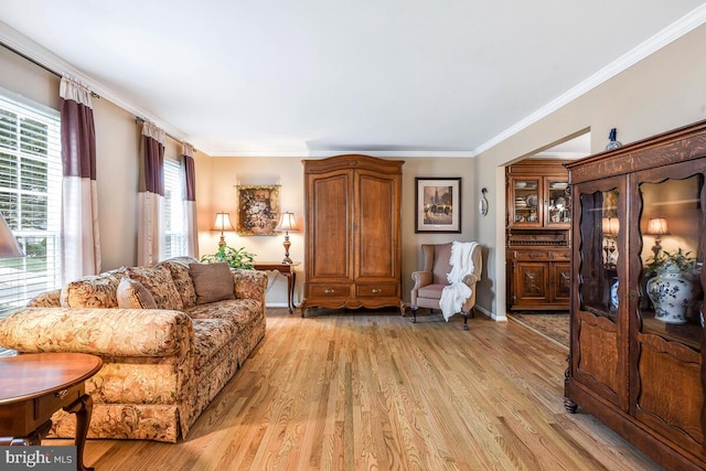 living room with baseboards, light wood-style floors, and crown molding