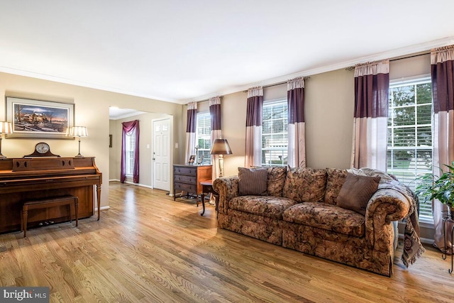 living room with ornamental molding, baseboards, and wood finished floors