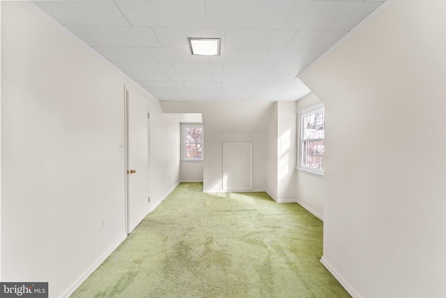 additional living space with baseboards and carpet floors