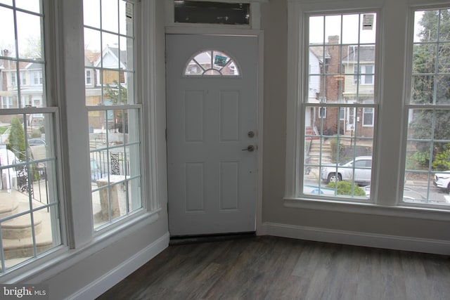 foyer featuring baseboards, dark wood-style flooring, and a healthy amount of sunlight