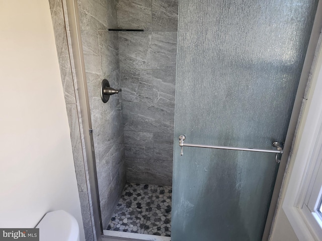 bathroom featuring a shower stall and toilet